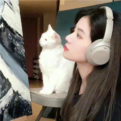 森林进化论第三季